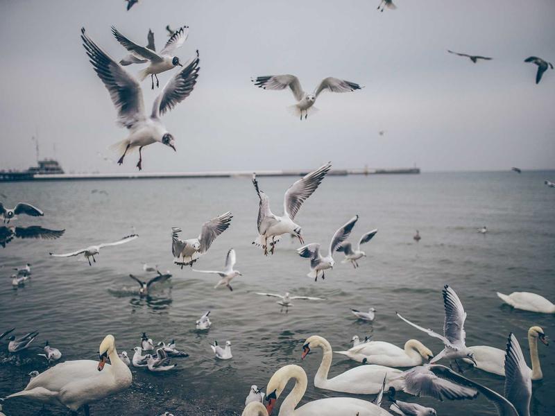 sudoku elimination method screenshot 1